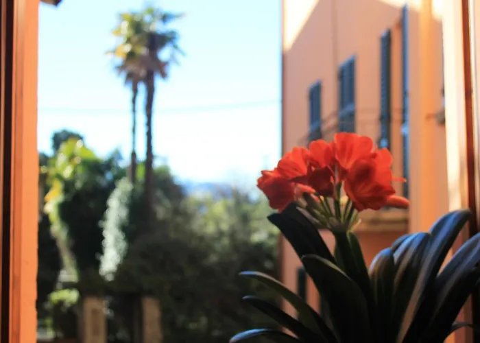 Casa Mia